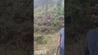 Land for sale Shyamkhet Bhowali Nainital district uttrakhand 🏡 8218146955 #nainitalroad