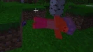 Minecraft Survival Multiplayer (NO EDITS)