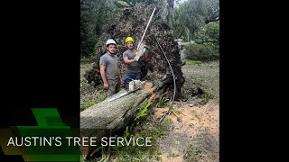 Austin's Tree Service, Waynesville NC