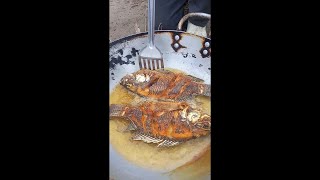 Pescado frito super fresquitos recién atrapados con atarraya en río