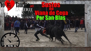 Sustos en Viana de Cega