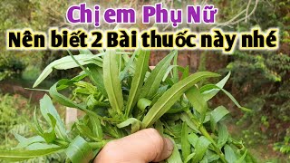 Là Phụ Nữ nên biết 2 Bài thuốc này, trị huyết trắng ( khí hư bạch đới ).PHAN HẢI Vlog