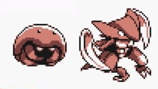 Kabuto Kabutops evol evolve Evolution Evoluciones gbc
Pokemon weezing of games yellow nes dratini  1