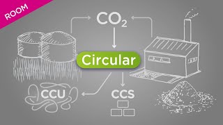 Circular-08-02-2023-CCU from biomass combustion flue gasses-EN