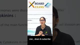 Board Exam Time #shortsvideo #ytshorts #yutubeshorts