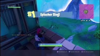 FORTNITE Solo Win 17Kills