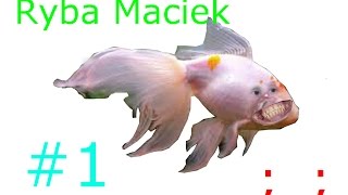 HistoRyjka #1- Ryba Maciek