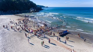 Pesca Artesanal da Tainha em Bombinhas - Santa Catarina