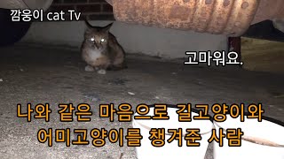 나와 같은 마음으로 길고양이 와 어미 고양이를 따뜻하게 챙겨준 사람