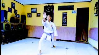 SERUNYA 12 KATA GOJU RYU @madedharmawan3789