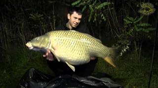 BIG CARP 28,5 Kg - David Raušer