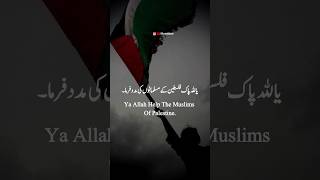 Aameen Ya Rab | Palestine | Masjid e Aqsa | WhatsApp Status | New Islamic Status #palestine #shorts