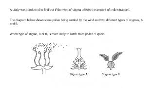 Quick Science question Hacks, feathery stigmas