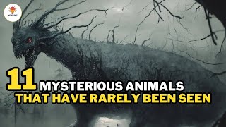 11 Facts about mysterious animals that have rarely been seen | Part 2 | @Mythosfact