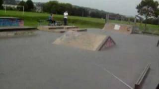 Tamiya Sand Viper SK8 Park Burn