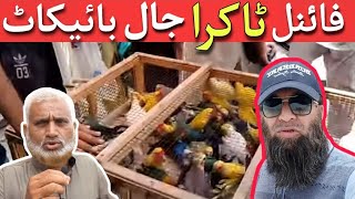 Jaal Boycott Final Count Down | Comments Reply | Birds Business In Pakistan | Khan Birds Collection