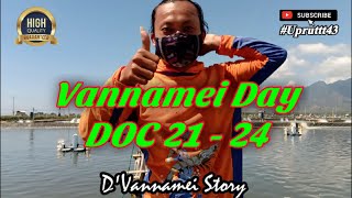 D'Vannamei || PERKEMBANGAN UDANG VANNAMEI DOC 21-24 HARI, BENUR DARI BEBERAPA HATCHERY DI JAWA-BALI