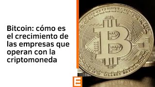 Bitcoin: cómo es el crecimiento de las empresas que operan con la criptomoneda