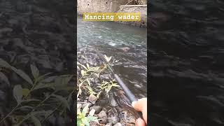 #shortvideo #short #shortsfeed #shorts #fyp #mancing #wadermaniaindonesia #mancingmania