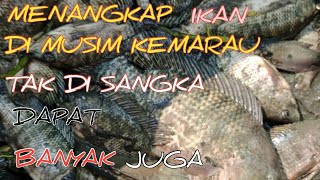 Tak di sangka menangkap ikan  dapat lumayan banyak