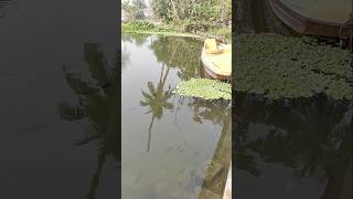 ঘুরতে যাওয়া #minivlog #shortsfeed #youtube