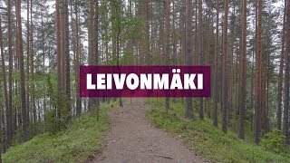 40 - Leivonmäki ja Mäyrän kierros, kesä 2017