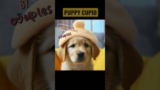 PUPPY CUPID  #cupid #dogs #dog  #puppy #shorts #viral #trending #shorts  #youtubeshorts #cute #doggo