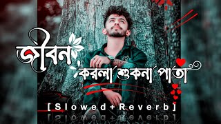 জীবন করলা শুকনা পাতা |Jibon Kollam Sukana Pata | Lofi Bangla Song [Slowed Reverb] [Sumon Make]