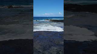 Scenic Lava Beach Discovery in Hawaii