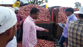 Nashik onion 11/09/2024 - 4300/- - Umrane Ramehswar Market