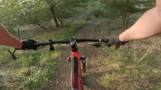 MTB Ride at McAllister Park on Oct 17th