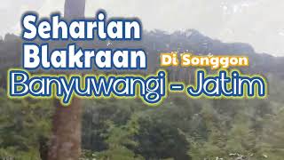 Sehari di Banyuwangi