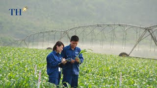 Tập đoàn TH: Tiên phong kinh tế tuần hoàn, đưa người nông dân thành "mắt xích" trong sản xuất