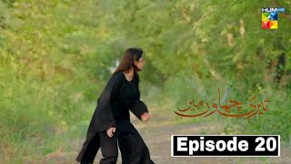 Teri Chhaon Mein Episode 20 Promo - Teri Chhaon mein Episode 20 Treaser - 3rd Oct 2024 - Full Review