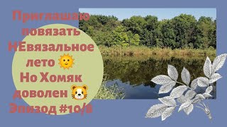 НЕвязальное лето 🌞🌞🌞Но хомяк доволен 🐹🐹🐹//новые спицы//новая пряжа//🌿🌿🌿#летнийкардиган