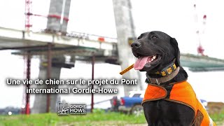 Une vie de chien sur le projet du Pont international Gordie-Howe