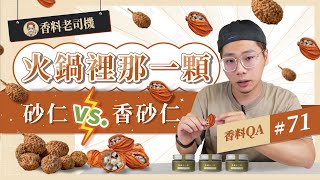 【去腥增香的重要香料】砂仁 vs 香砂仁｜火鍋裡面的那一顆｜滷水、滷味、麻辣火鍋都用得到｜香料老司機 Rex 香料QA#71