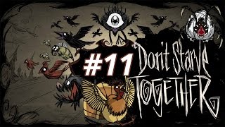 Don't Starve Together : Padurea intunecata !