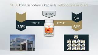 DXN Marketing Terv Bemutató