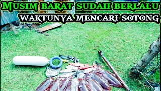 Nembak Sotong laut Indonesia hasil melimpah | Spearfishing Cuttlefish