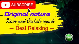 best relaxing rain sounds for sleeping | relaxing rain sound sleep with cricket | # noushbcreations