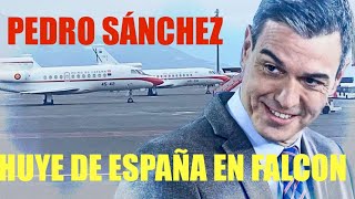 PEDRO SÁNCHEZ HUYE DE ESPAÑA 🇪🇸 ‼️