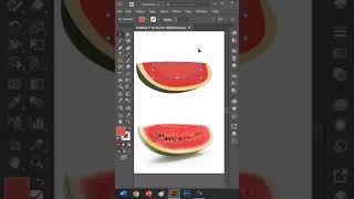 Belajar Desain Grafis Pemula Dengan Membuat Semangka Vektor di Adobe Illustrator