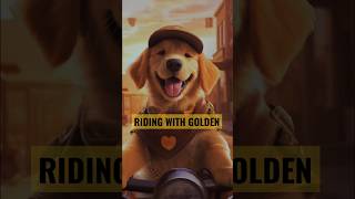 RIDING WITH GOLDEN | #dog  #puppy #shorts #viral #trending #short #youtubeshorts #cute #cutedog