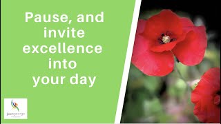 Pause, and invite excellence into your day