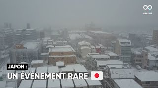 Tokyo se réveille sous la neige, un événement rarissime