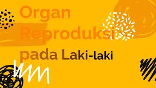 KELAS IX ORGAN REPRODUKSI LAKI-LAKI