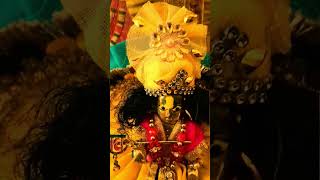 वृंदावन जाऊंगी सखी वृंदावन जाऊंगी #radhakrishna #vikashpundhirvlog #vpv