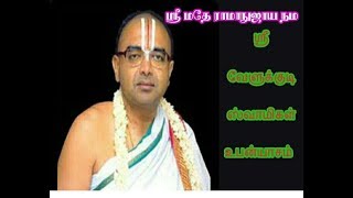 Learn-From-Hamsa-Bird - Sri velukudi swami upanyasam