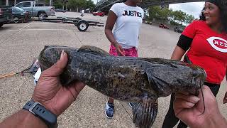 Sunday fishing Bank Fishing(3.14lbs shovelhead)